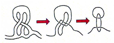 Knotenmodell